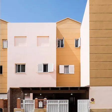 Hubara Parda Villa La Oliva